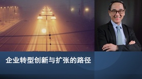 企业转型创新与扩张的路径